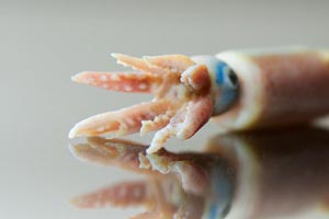 Detail on 3D printed version