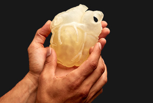 Medical WP Printing Tissue with the J5 Digital Anatomy Printer