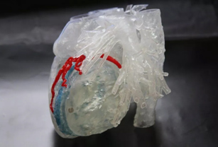 Surgical plan review