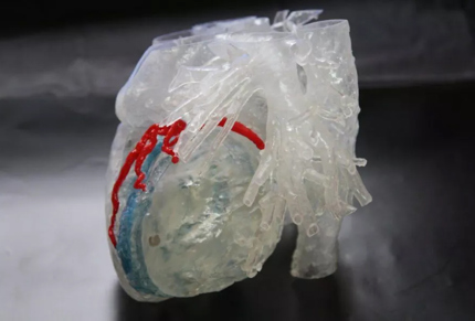 Surgical plan review