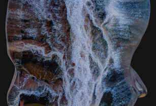 3D Printed Model by Statasys