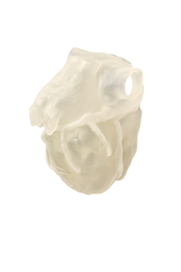 3d printed heart Transparent 