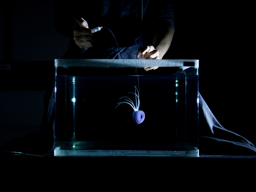 Filming the 3D printed aquatic sea creature. The students attached the creatures to string to simulate underwater behavior.