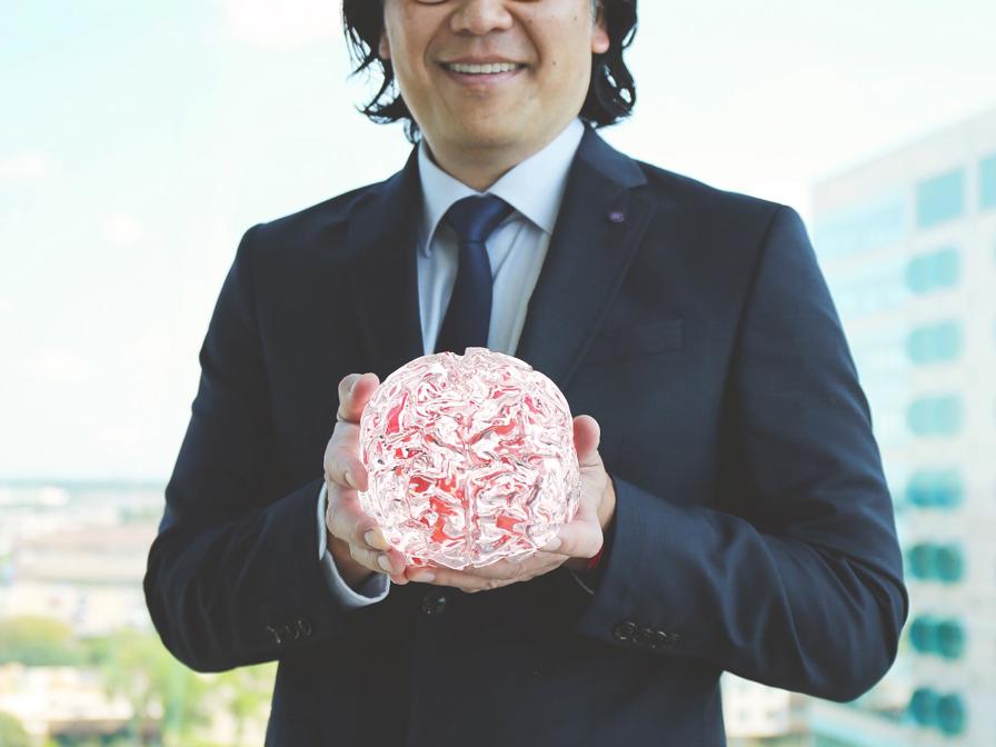 Dr. Okuda 3D brain