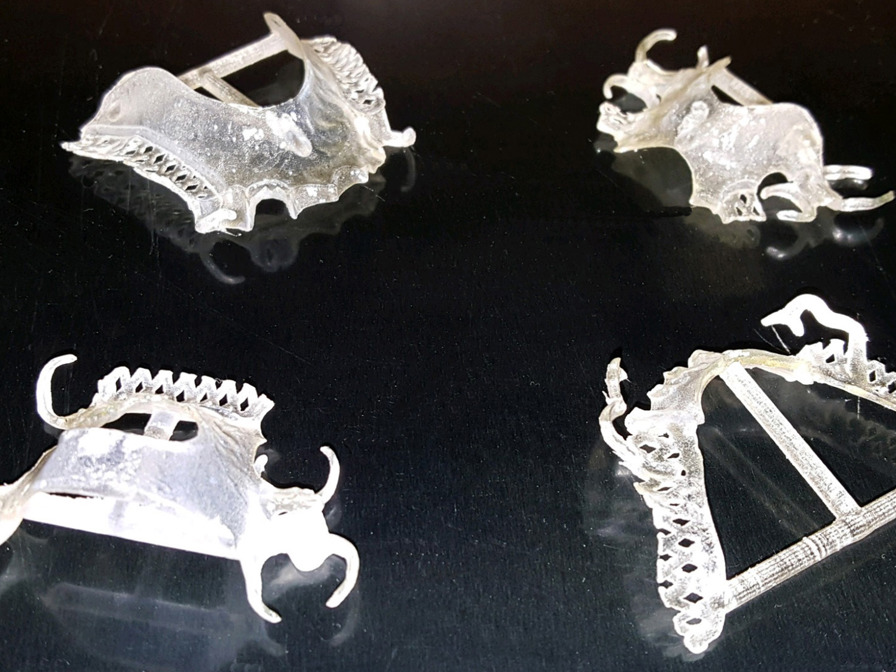 Example of Biogenic's 3D printed partial frameworks.