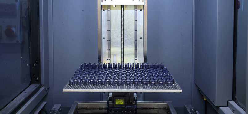 Neo and Somos Taurus