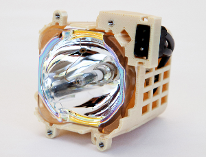 rel christie 300x229