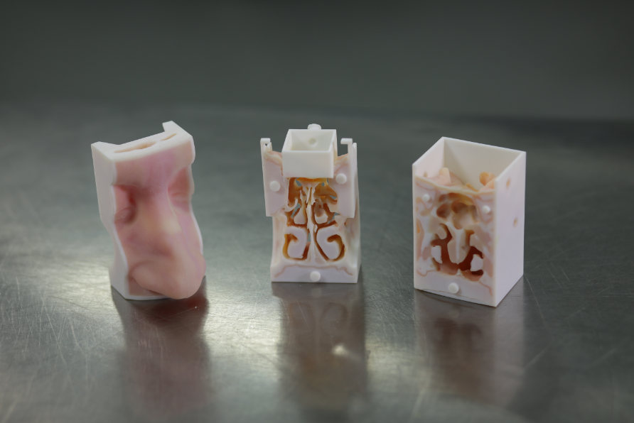 3d printing clinical simulation