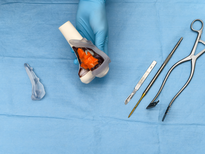 Sterilized  3D Medical Models