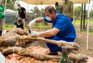 Raising the Standard