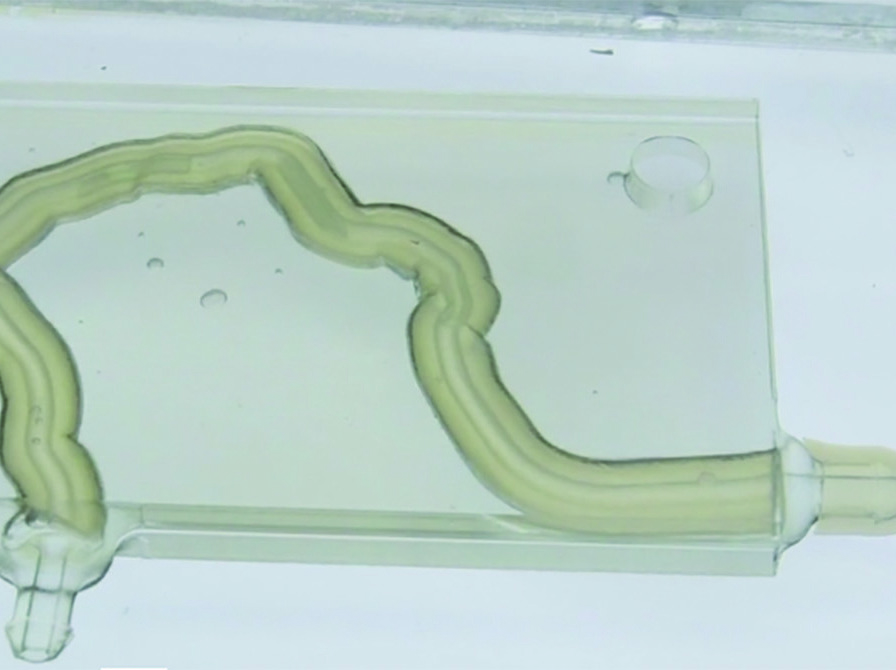CSI 3D prints coronary blend plates using flexible 3D printing material.