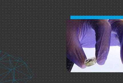 MacCurdy hero image.