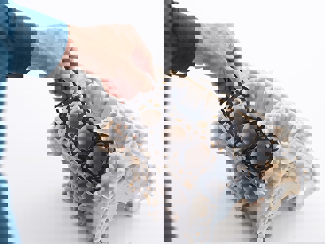 image gallery agilus30 engine gasket