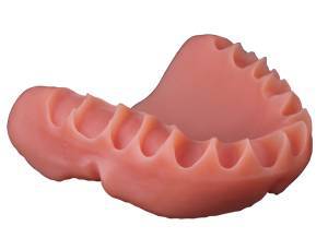 Denture Base