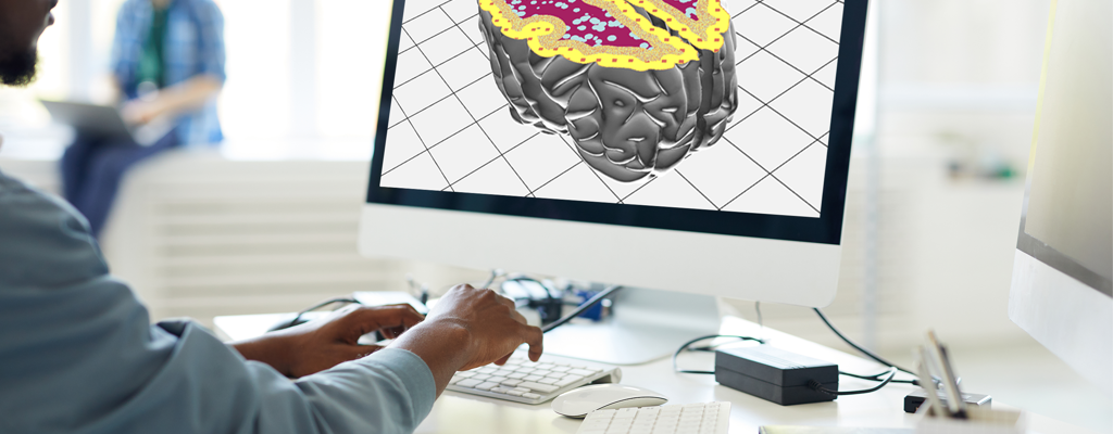 medical-digital-anatomy-creator