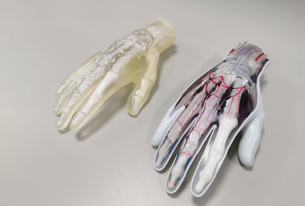 Biomechanical vs colour example 3D printing