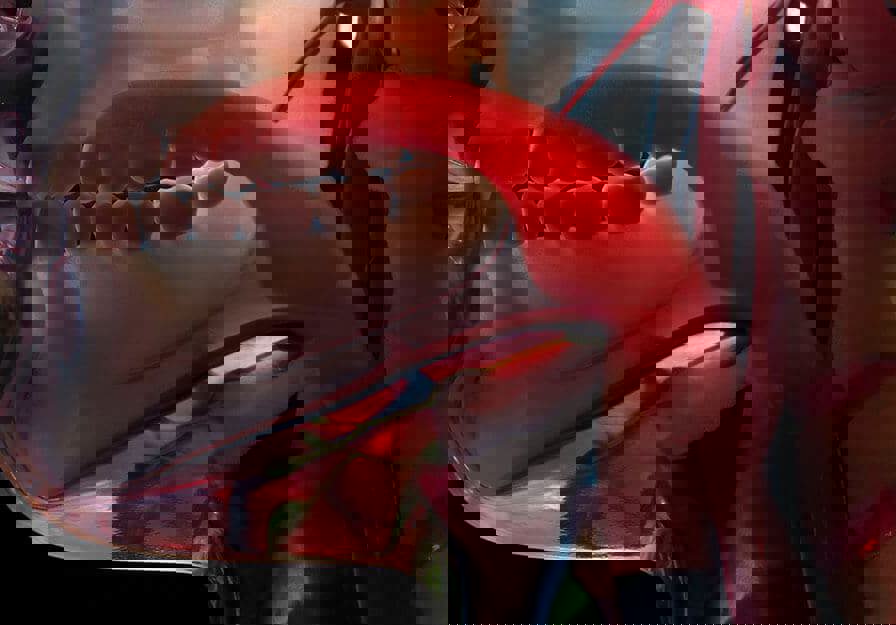 j750skull2 formpagel