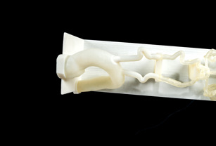 banner for 3 wp landing page.jpg