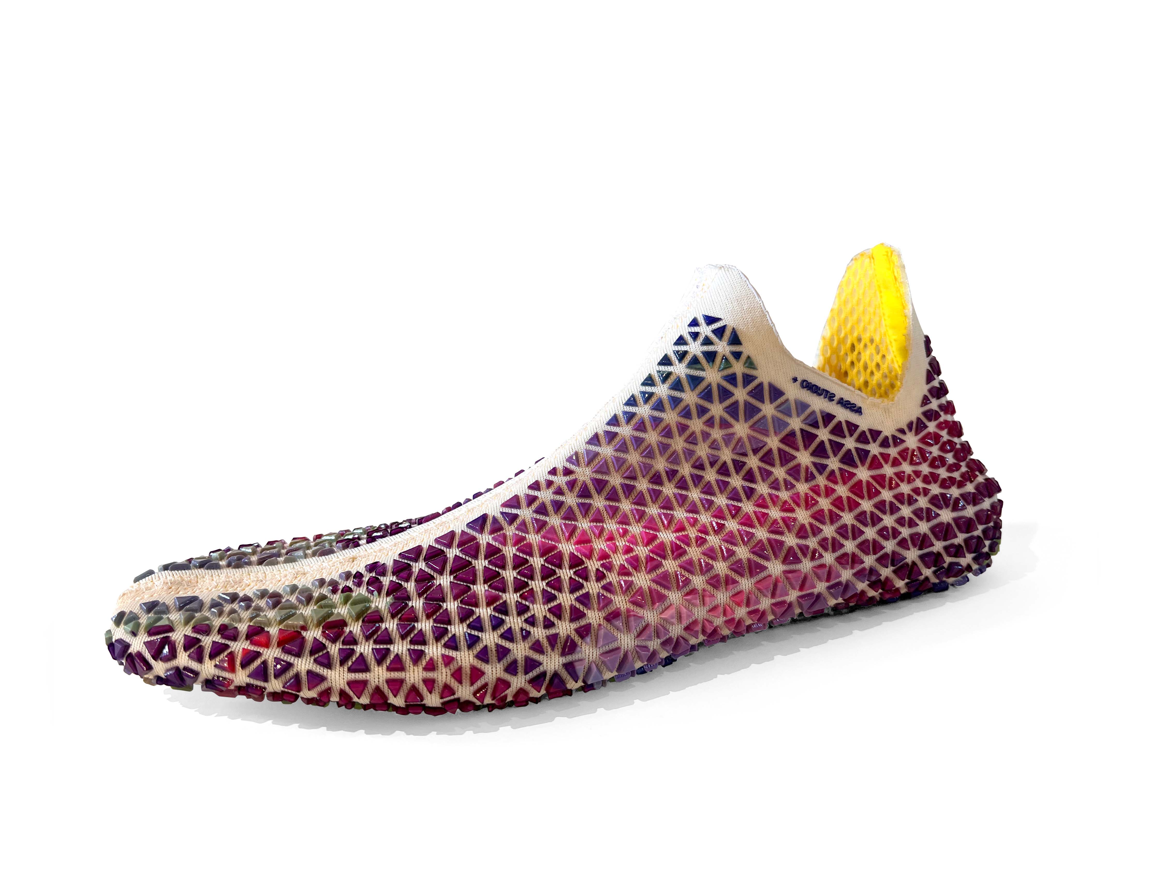 3d printed shoe designed by Assa Asuach