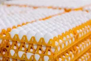 food-safe-3d-printing-materials-industrial-applications
