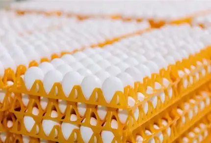 food-safe-3d-printing-materials-industrial-applications