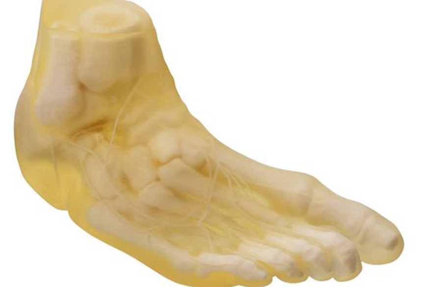 Stratasys Announces Radiopaque Material For Digital Anatomy 3D Printer