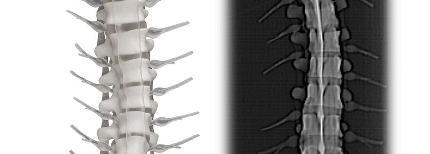RadioMatrix