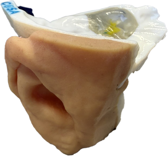 Stratasys 3D printed surgical training eye