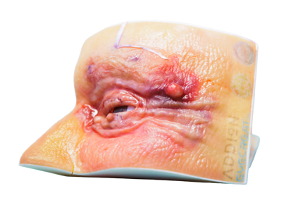 Anatomical 3D printed eyelid for surgical training 3D printed using Stratasys Digital Anatomy Creator
